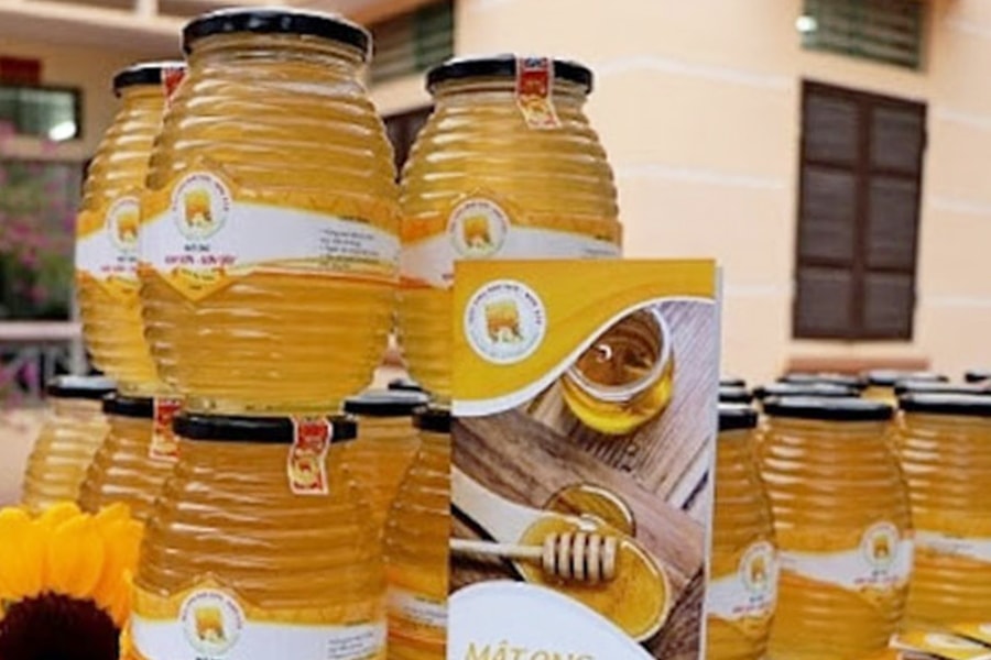 Mật ong Kim Sơn – tinh túy xứ Đoài