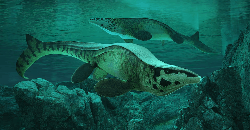 “T. rex của biển cả” lộ diện sau 80 triệu năm