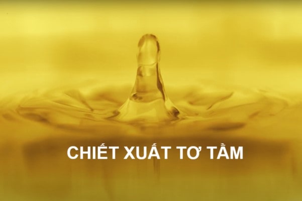 Chiết xuất tơ tằm trong dầu gội Viora bí mật dưỡng tóc từ thiên nhiên