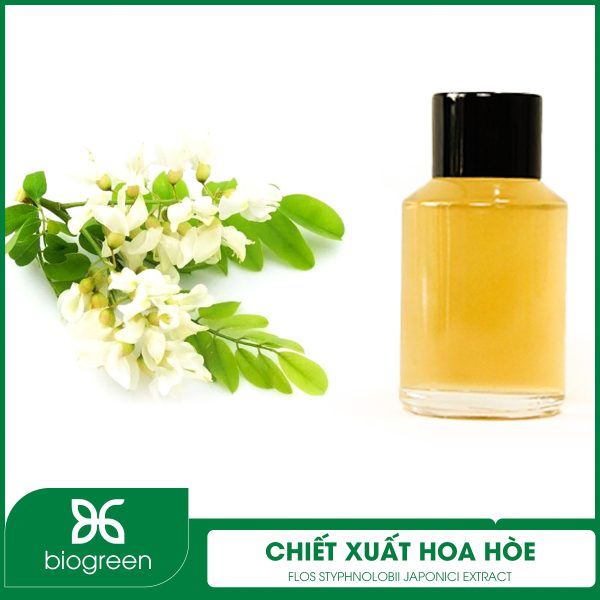 Thông tin chiết xuất hoa hòe là gì?